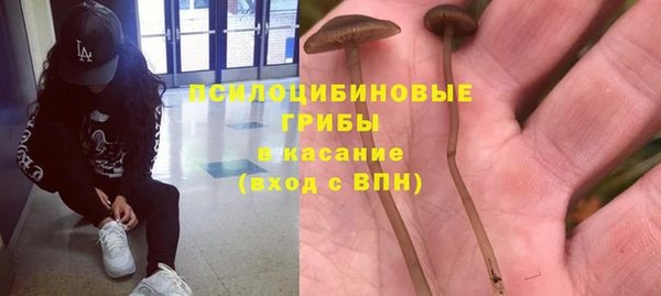 амф Надым