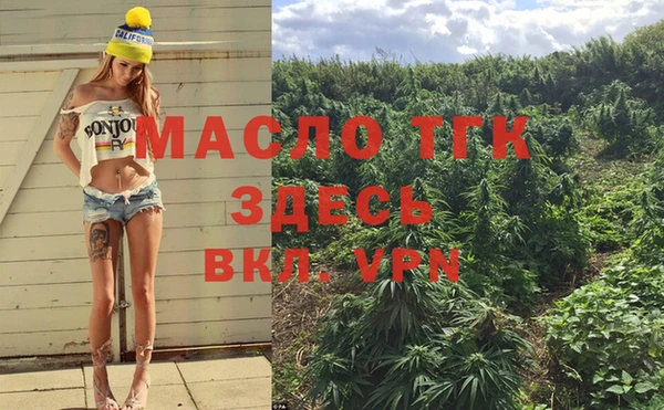 винт Михайлов